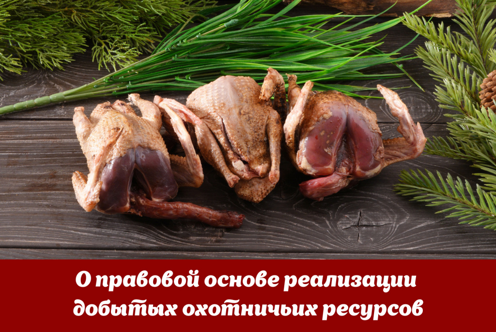 Статья Русского охотничьего журнала
