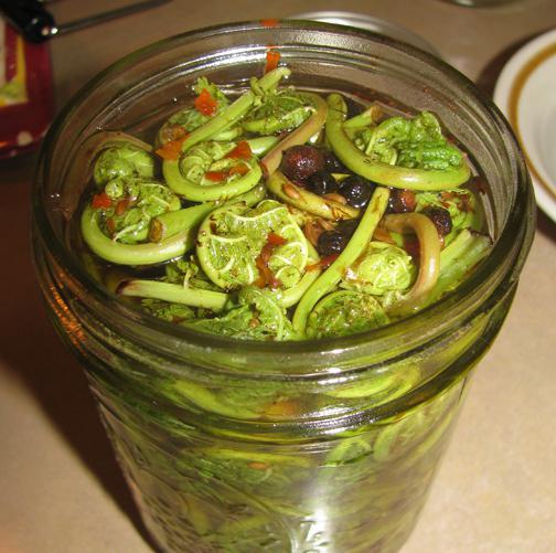 Маринованный папоротник