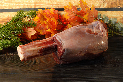 Превью Голяшка лося на кости