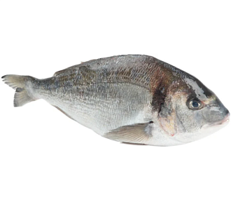 Дорадо с/м (600-800г) коробка 5кг