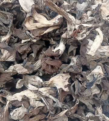 Фото Грибы лисички черные сушеные 300гр