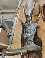 Рог лося с кабаном