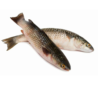 Кефаль Азовская неразделанная рыба (0,5-1кг)