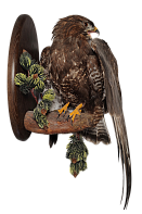 Канюк на медальоне