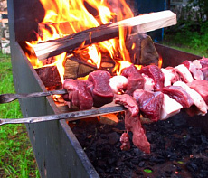 Немецкий рецепт шашлыка из глухаря по-боннски