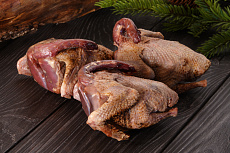 Дикий вяхирь