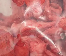 Легкое лани