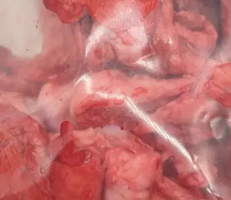 Легкое лани