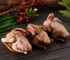 Дикий вяхирь