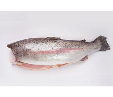 Форель радужная, потрошеная, без головы 2,7-4 кг, Тибет