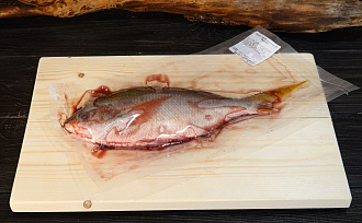 Дорадо дикий желтохвостый (Фузилер)