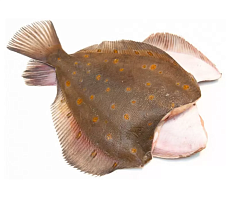 Камбала пятнистая Мурманская потрошеная без головы 1кг+