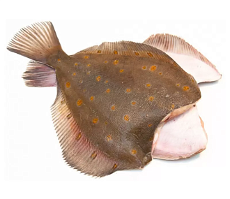 Камбала пятнистая Мурманская потрошеная без головы 1кг+