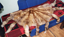 Превью Ковры из лисицы