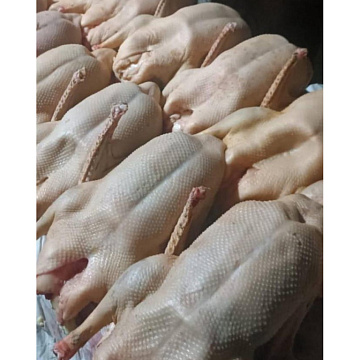 Фото Гусь фермерский