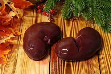 Фото Почки лося