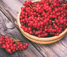 Калина быстрозамороженная 10 кг