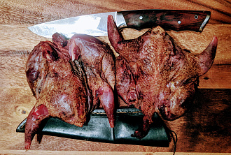Серая куропатка дикая без пера