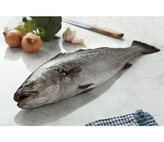 Капитанчик (капитанский серебристый горбыль)