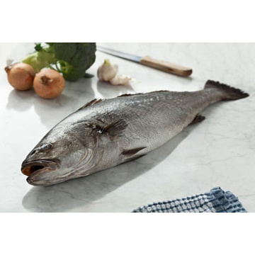 Фото Капитанчик (капитанский серебристый горбыль)