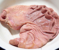 Желудок дикого кабана