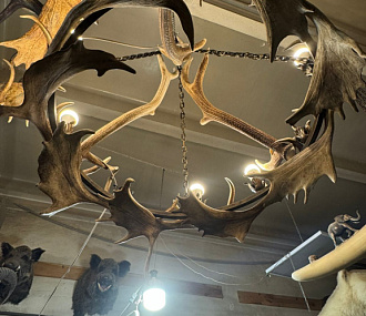 Люстра с рогами оленя 1 ярус