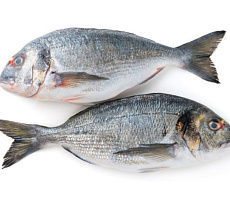 Дорадо с/м (300-400г) коробка 5кг