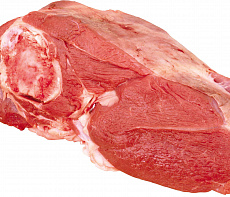 Лопатка пятнистого оленя на кости