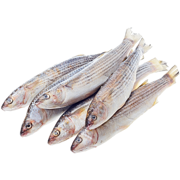 Фото Кефаль Азовская н/р 1000+(коробка 12кг)