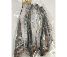 Корюшка азиатская зубастая тихоокеанская свежемороженая (20-35см)