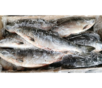 Горбуша свежемороженая непотрошеная (мешок 16кг)