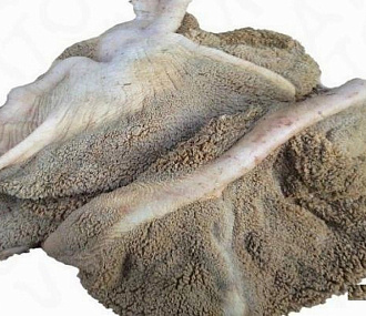 Желудок марала (не очищенный, резанный)