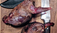 Превью Серая куропатка дикая без пера