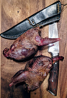 Серая куропатка дикая без пера