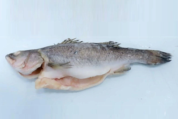 Фото Окунь морской японский (Сузуки) потрошеный с головой  450-550гр