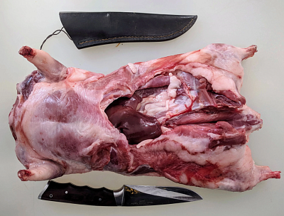 Товар Нутрия тушка (3-5кг)