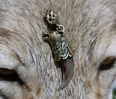 Коготь волка