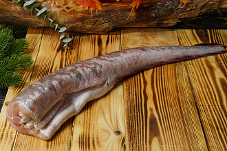 Конгрио свежемороженая 1-1,5кг