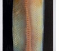 Муксун филе холодного копчения кусок 0,2-0,35 кг 