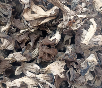 Грибы лисички черные сушеные 300гр 