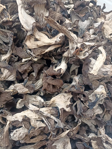 Фото Грибы лисички черные сушеные 300гр 