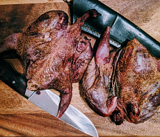 Серая куропатка дикая без пера