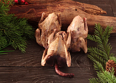 Дикий вяхирь