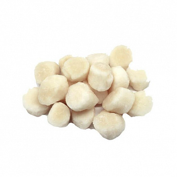 Фото Гребешок морской дикий, заморозка, филе S100+ шт/кг 500гр