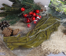 Папоротник таёжный соленый