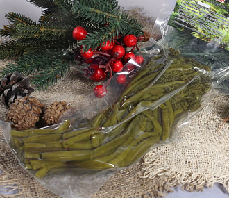 Папоротник таёжный соленый