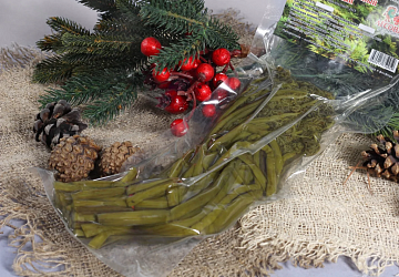 Фото Папоротник таёжный соленый