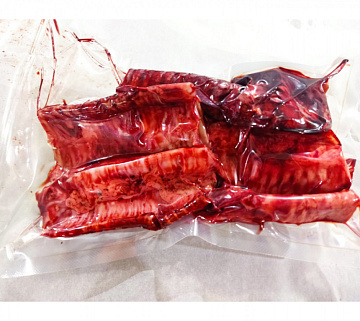 Фото Трахея пятнистого оленя