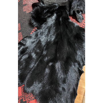 Фото Шкурка бобра выделанная крашеная черная малая