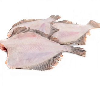Камбала белобрюхая потрошеная без головы 500-1300гр 